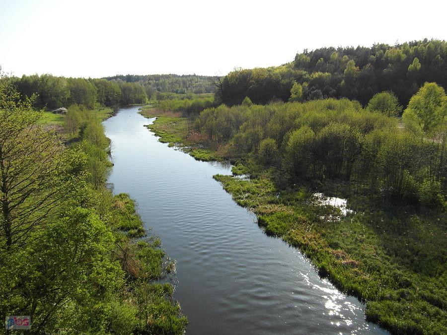 Widok z trasy na Wierzycę