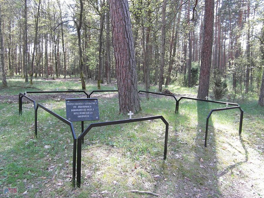 Drugi największy cmentarz ofiar nazistowskiego ludobójstwa na Pomorzu - Mniszek