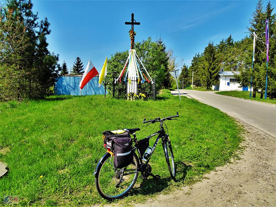 W drodze do Borówna. Przydrożna kapliczka.