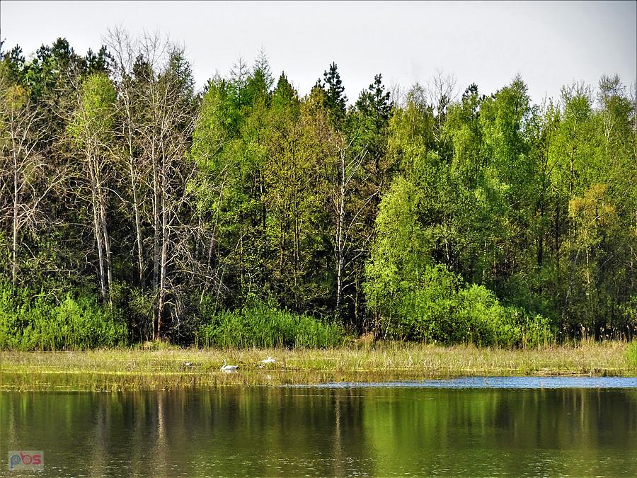 Piękne wiosenne widoki - Kociewie.