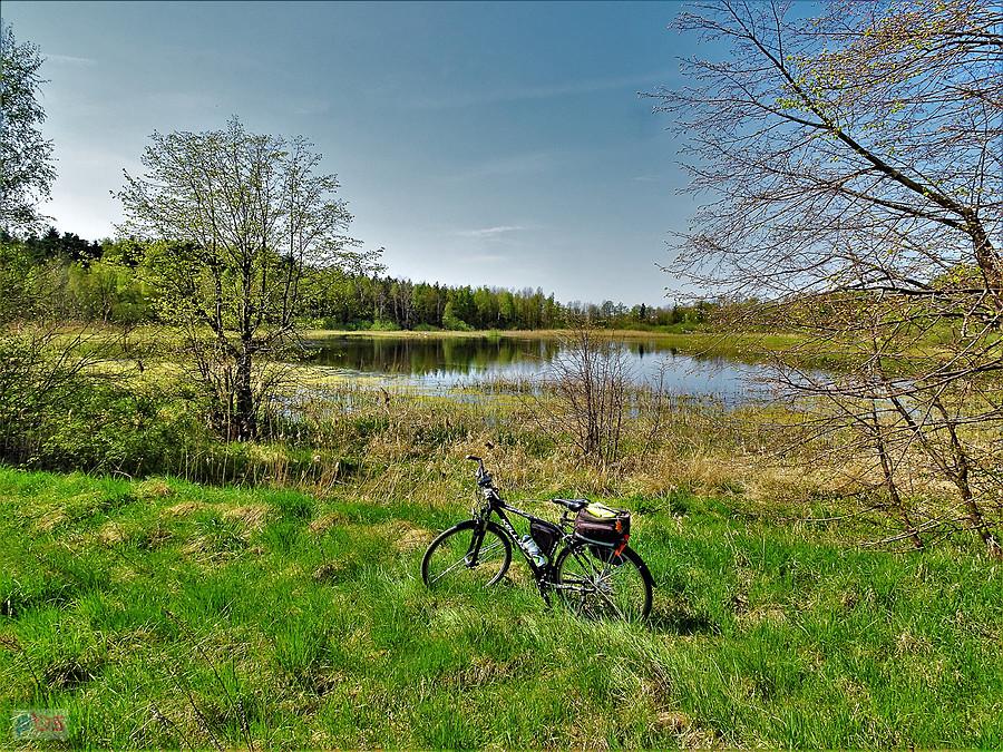Wiosenna wycieczka - panorama Kociewia.