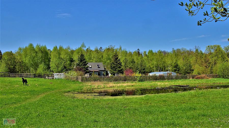 Wiosenna wycieczka - panorama Kociewia.