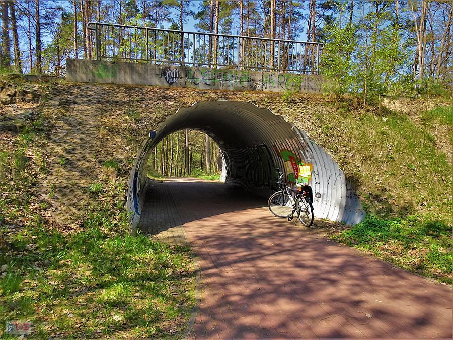 Ścieżka rowerowa - dojazd nad jezioro w Borównie.