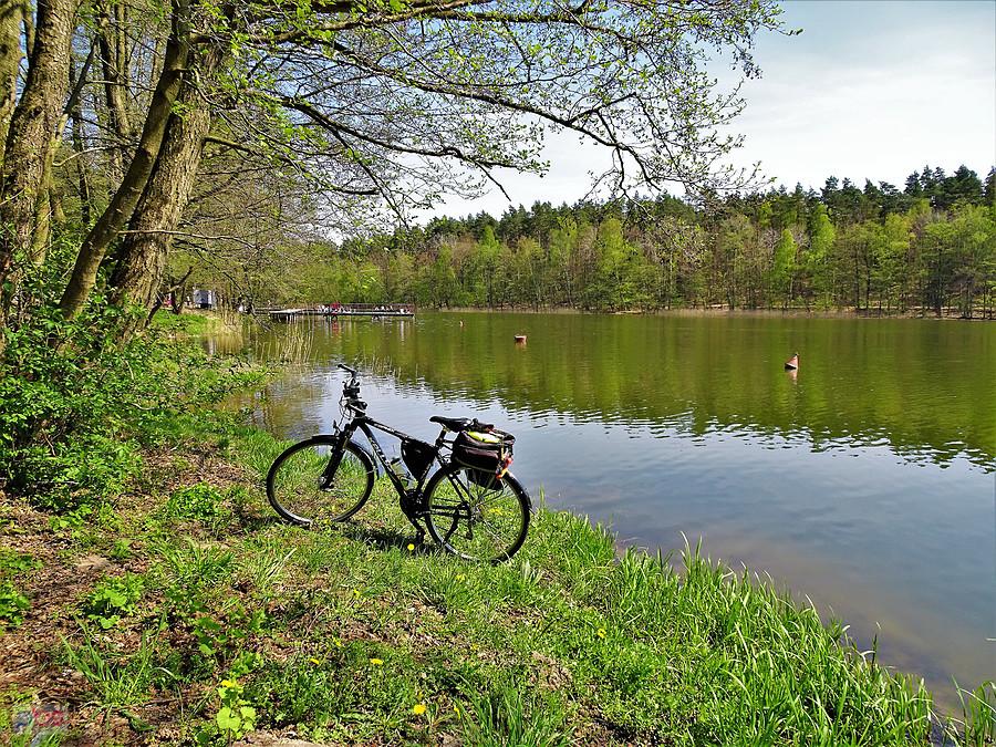 Widok na jezioro Borówno Wielkie.