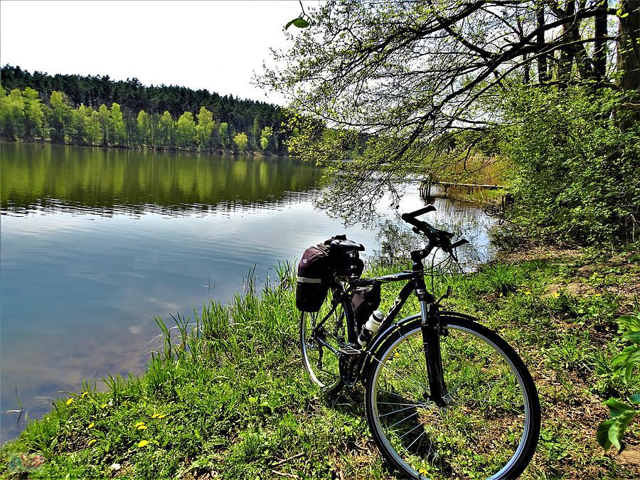 Jezioro Borówno Wielkie.