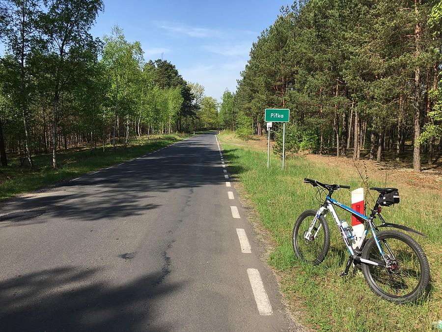 Piłka w Puszczy Noteckiej