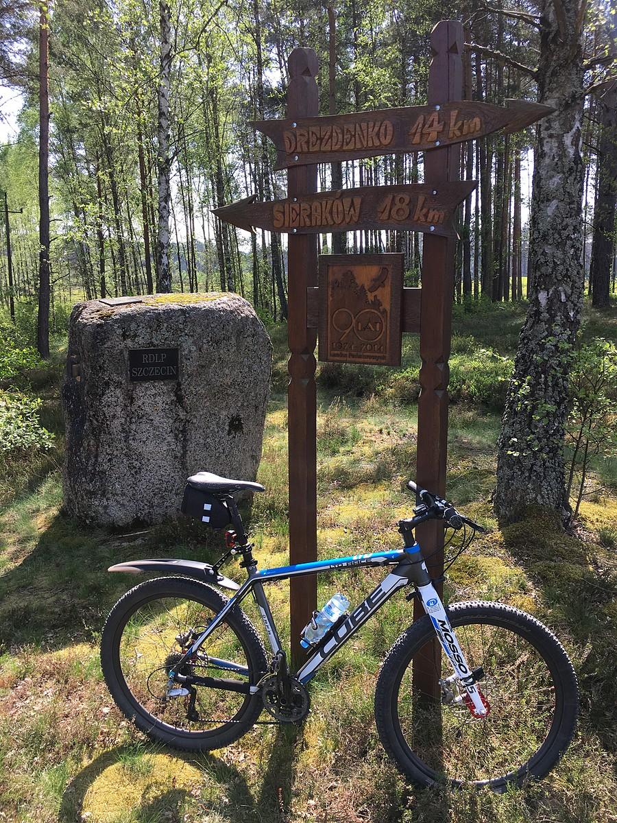 Kamień trzech dyrektorów - na granicy woj. wielkopolskiego i lubuskiego