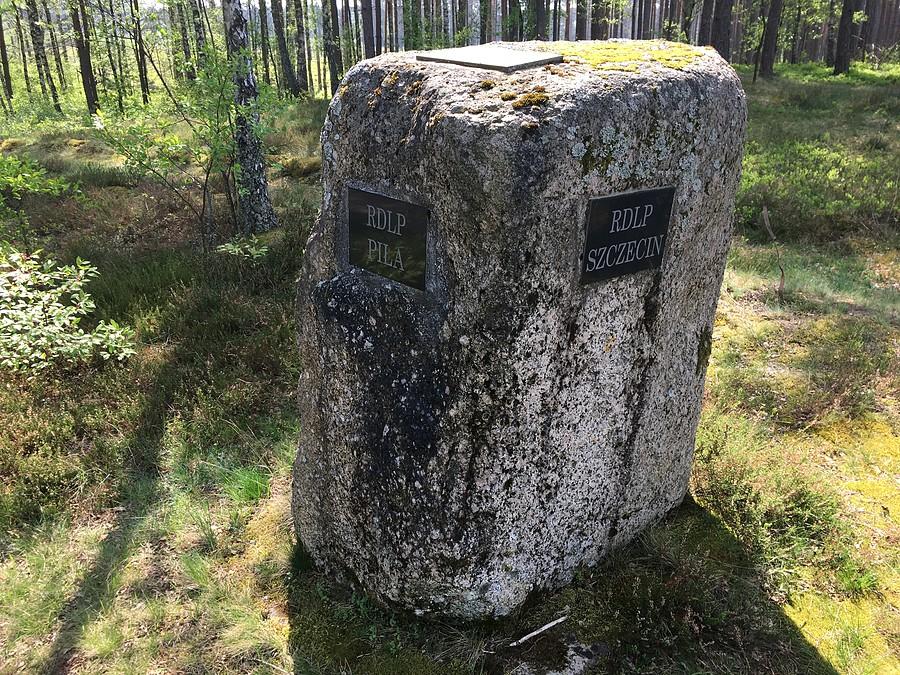 W tym miejscu zbiegają się granice dyrekcji lasów z Piły, Poznania i Szczecina