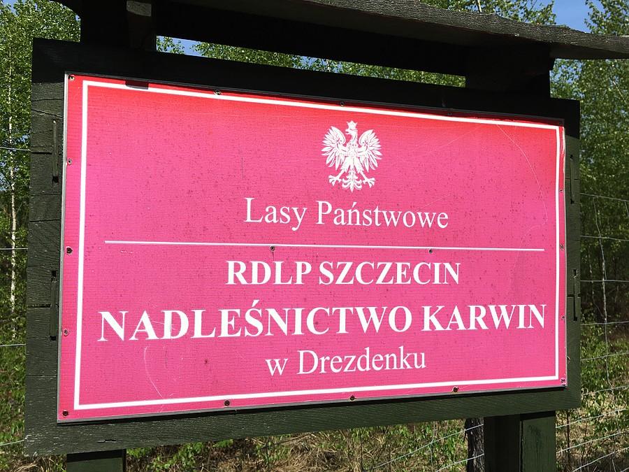 Nadleśnictwo Karwin