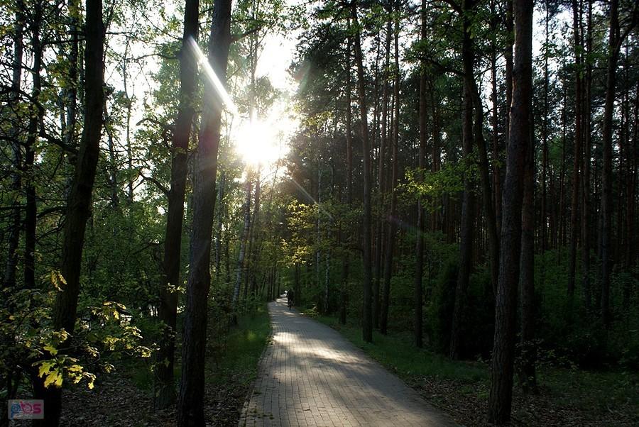 Droga do Spały