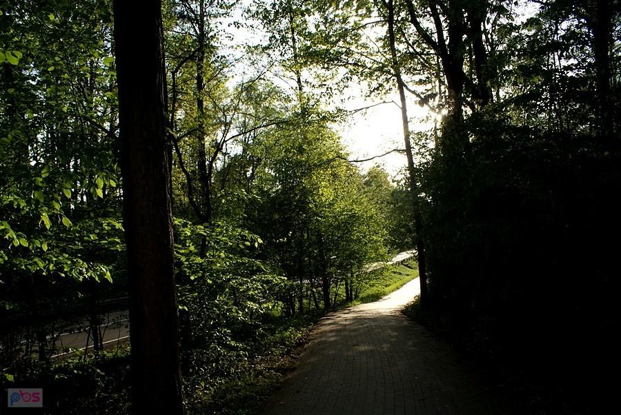 Dobrze, że są górki i zakrętasy