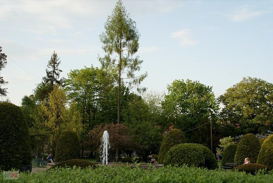 W angielskim parku - Spała