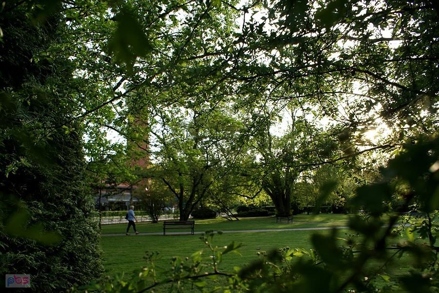 Koło spalskiego kościoła