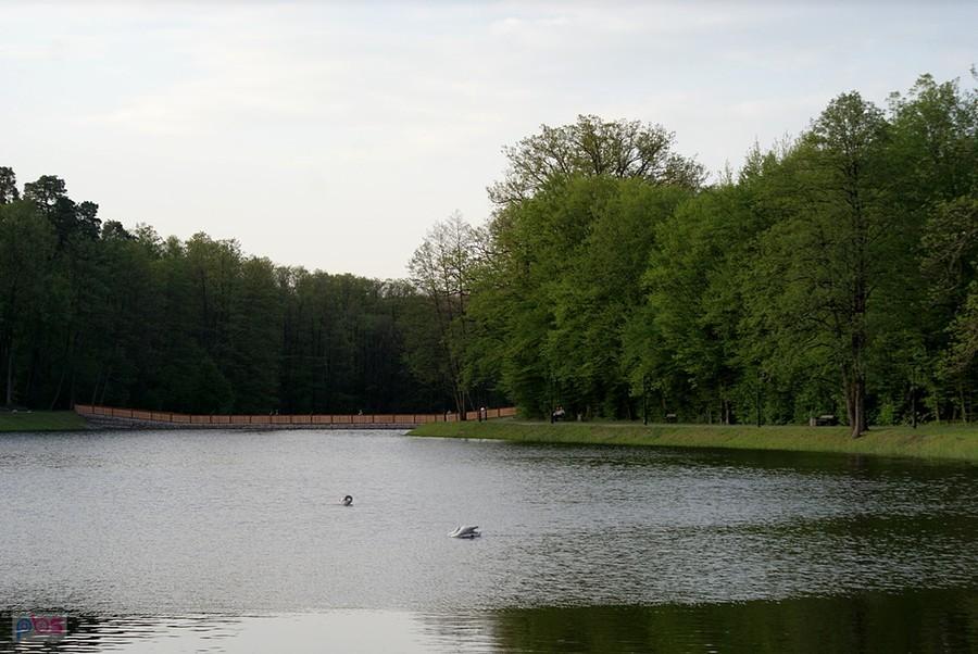 Staw spalski