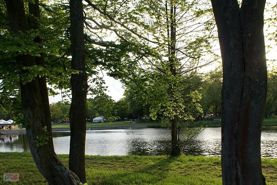 Z deptaku nad stawem spalskim