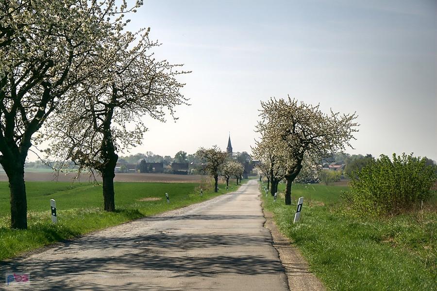 w drodze do Hohenreinkendorf