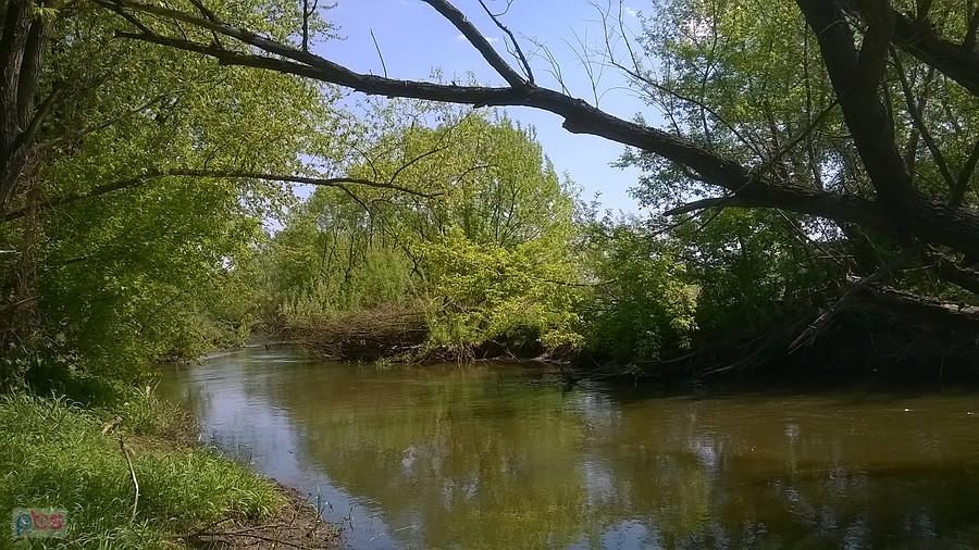 Warta w okolicach Siedlca