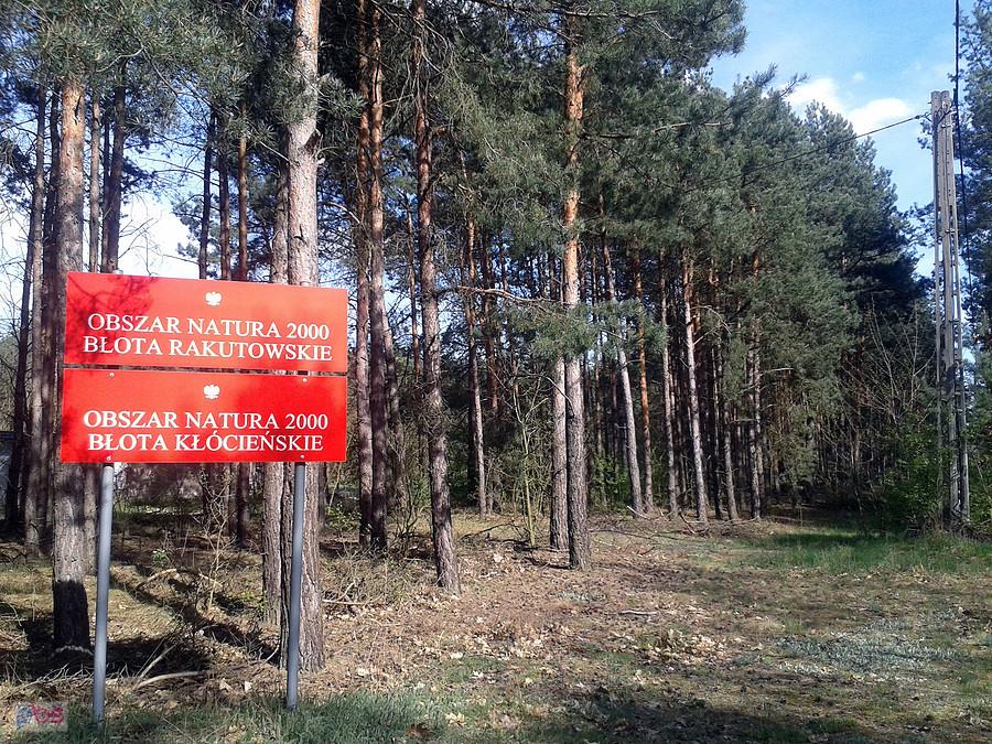Tablica informacyjna, Nadleśnictwo Kukawy