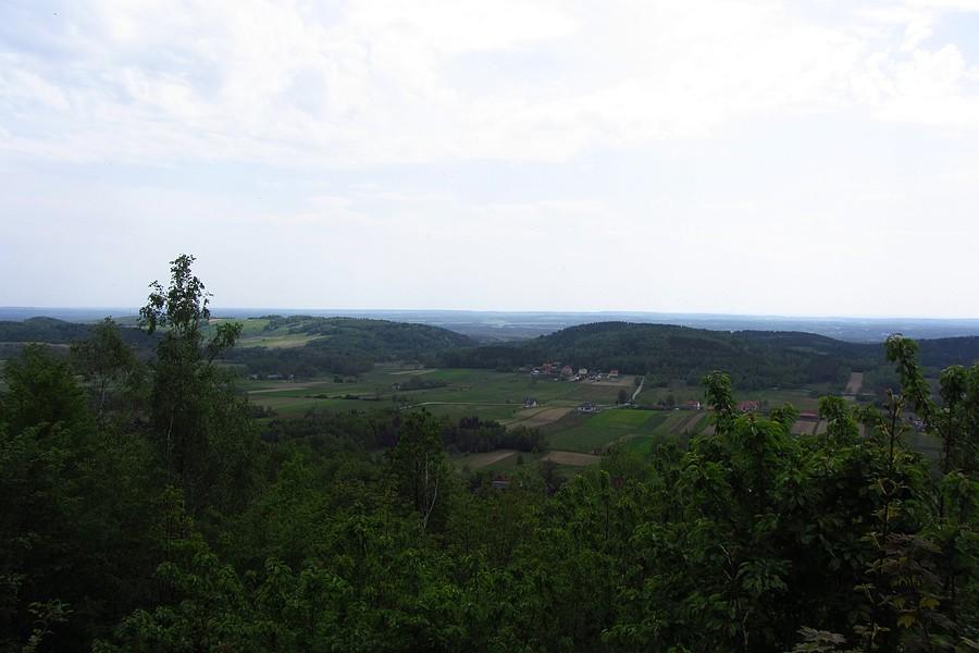 Widoczek z góry