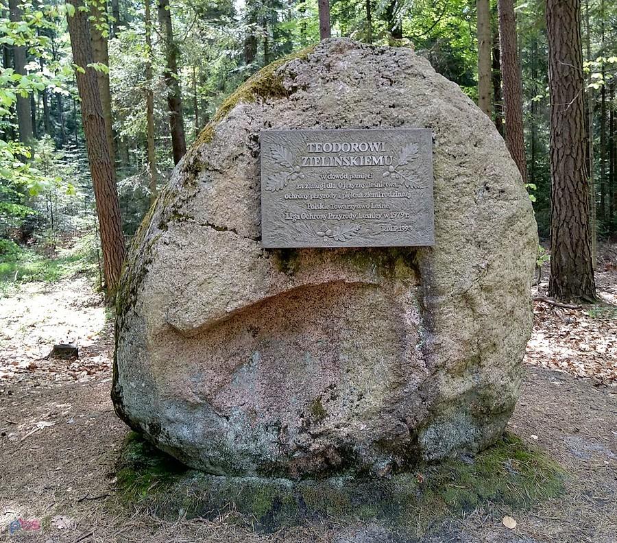 Teodorowi Zielińskiemu
