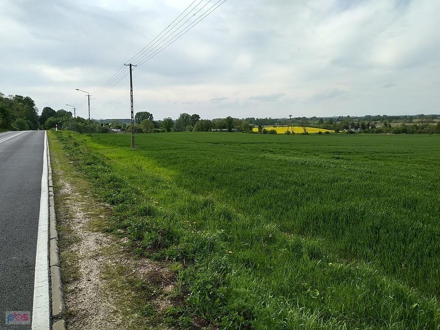 Panorama okolic Borkowic