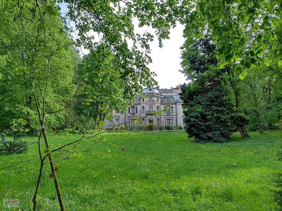 Pałac w Borkowicach