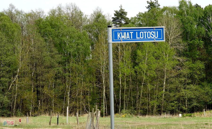 Na skraju Grzepnicy.