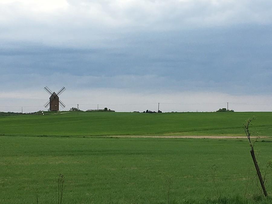 Dębe - wiatrak-koźlak z I połowy XIX w.
