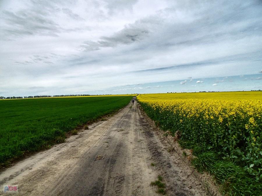droga z Dębicy do Wierzbna