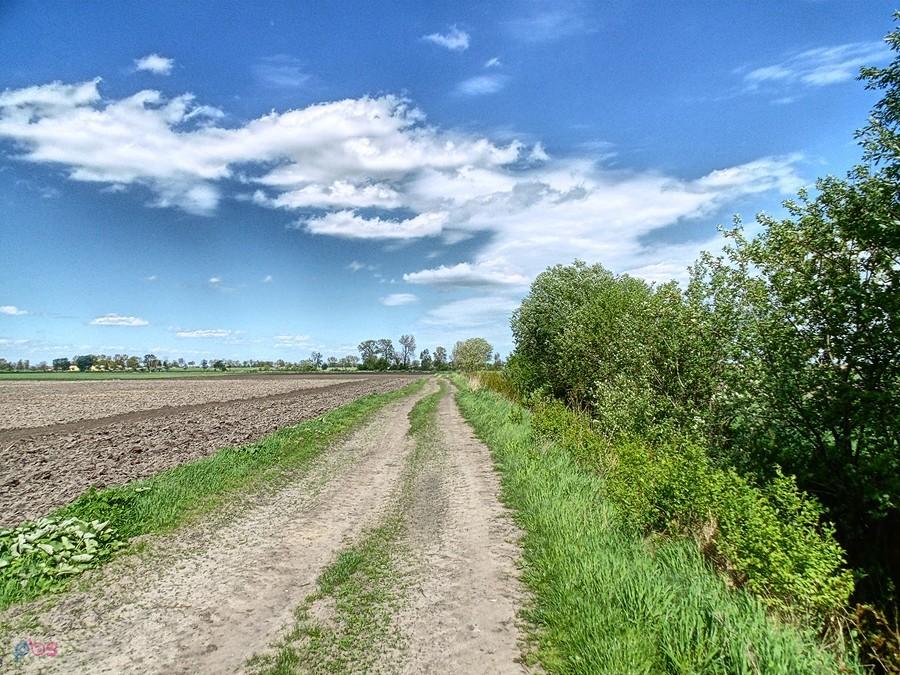 kierunek Nowy Przylep