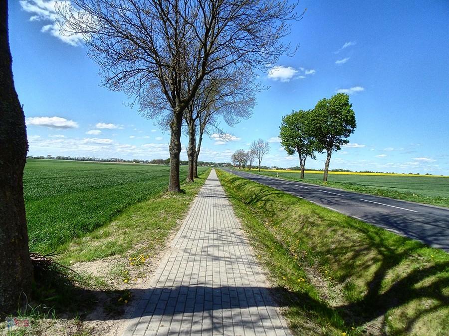 odnowioną dróżką z Barnima do Warnic