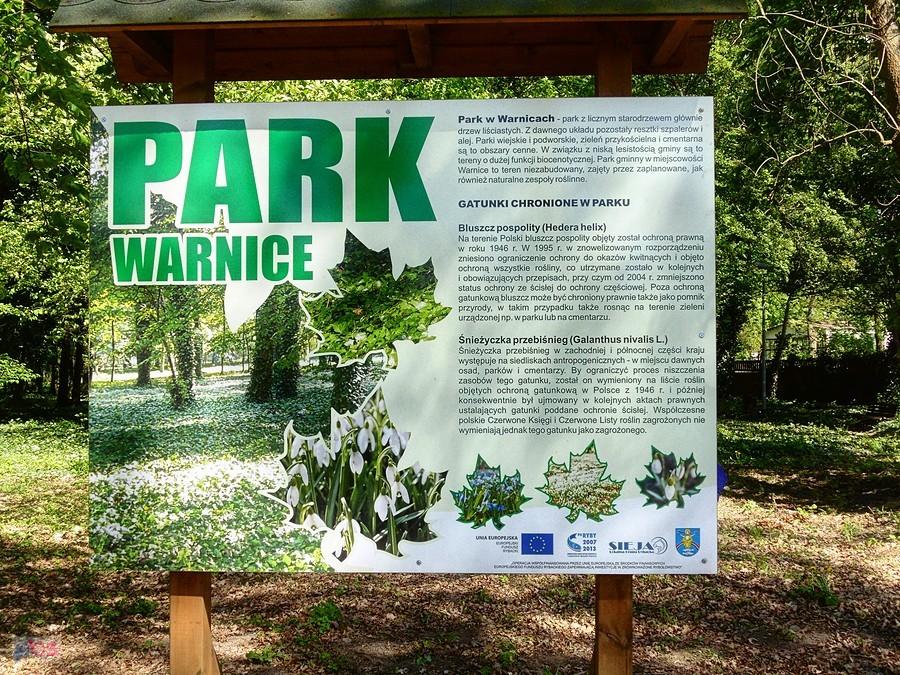 przy parku w Warnicach