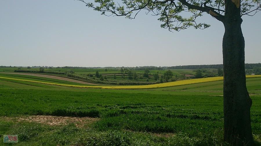 Roztoczańskie widoki
