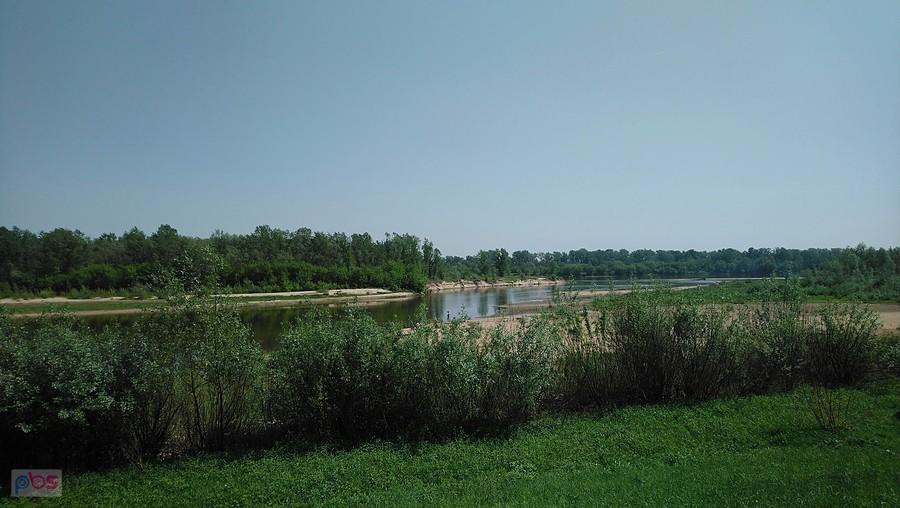 Widok z wału na Wisłę i Rezerwat Łachy Brzeskie