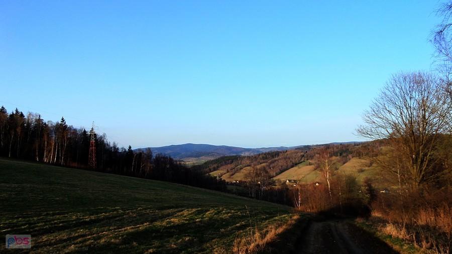 Widok po podjeździe w stronę Konradowa