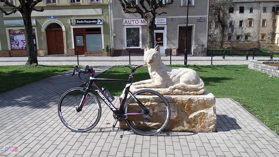 Międzyleski Wilk