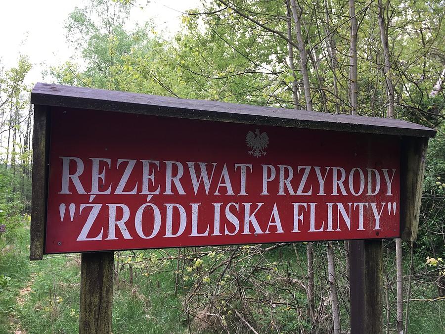 Źródliska Flinty w okolicy Niewiemka