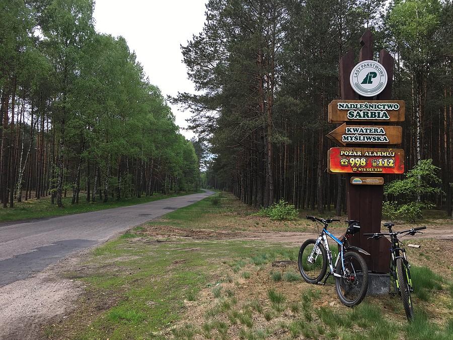 Droga Wyszyny - Gębice