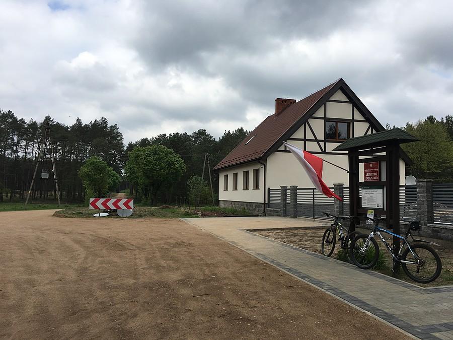 Leśnictwo Drzązgowo