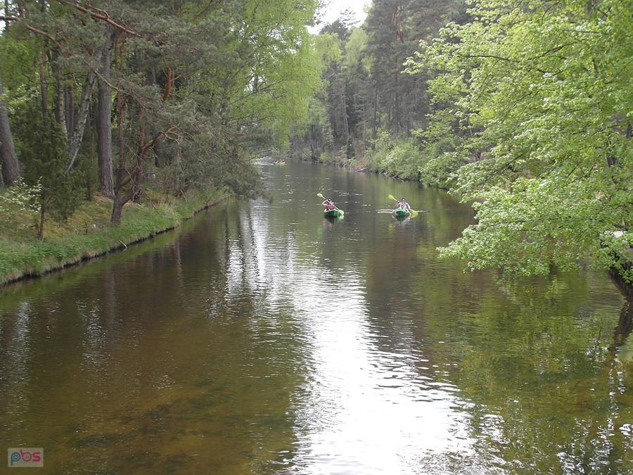 Rzeka Brda- Fojutowo