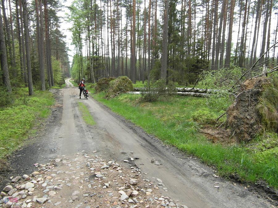 Na żółtym rowerowym Szlaku III Akweduktów