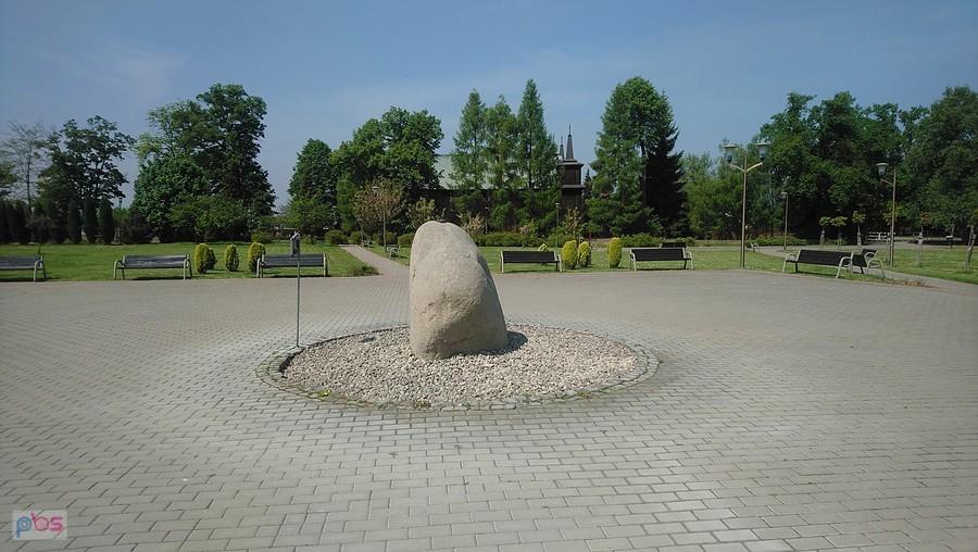 Wyschnięte źródło w Kampinosie