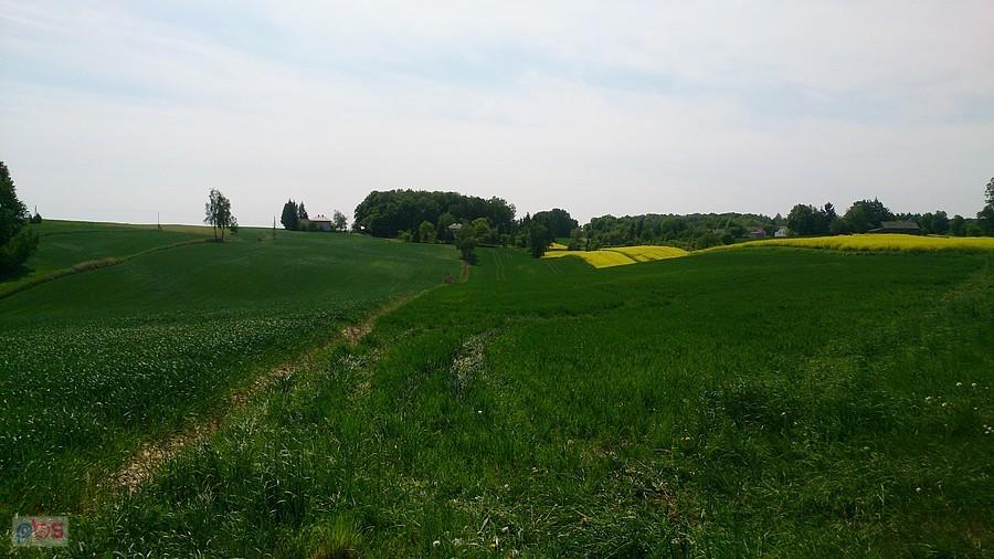 Pagórkowate tereny Zamościa