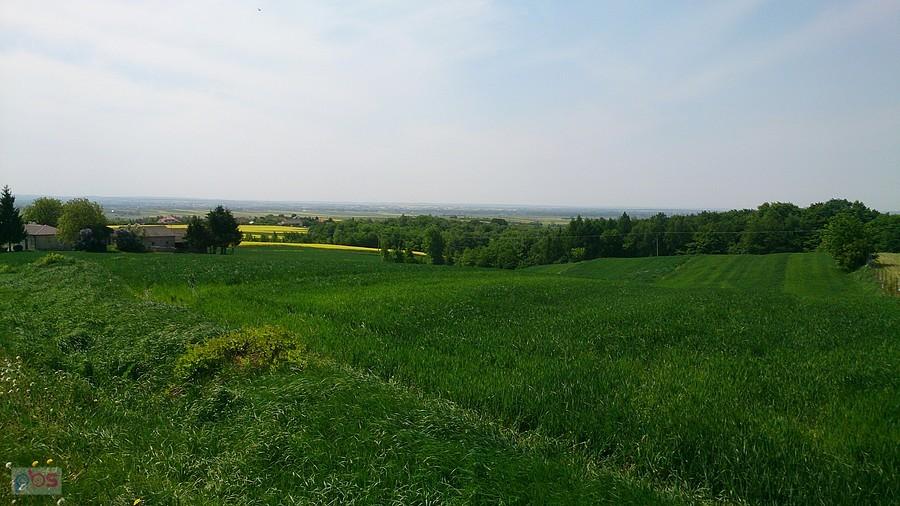 Widok z Dębowca