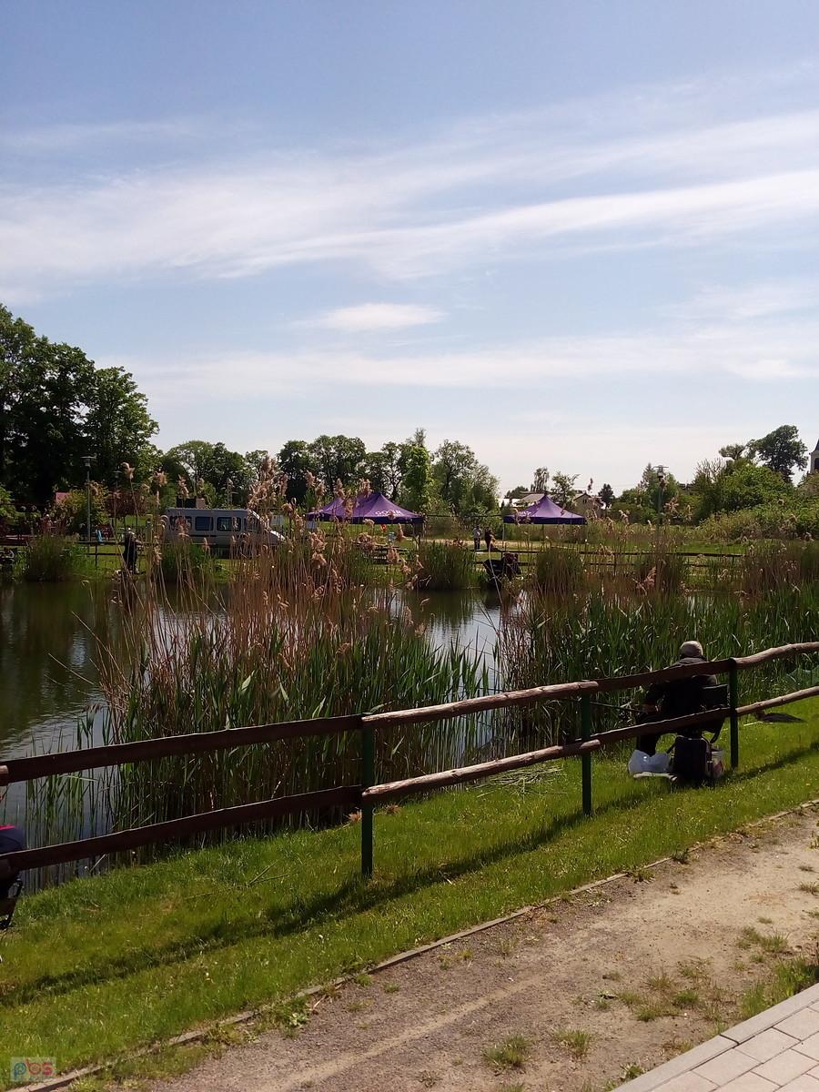 Staw w Borzęcinie