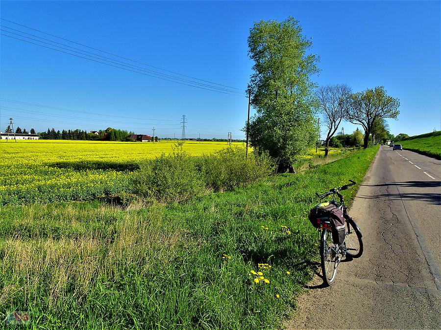 Wycieczka nad morze - w drodze do Jantaru.