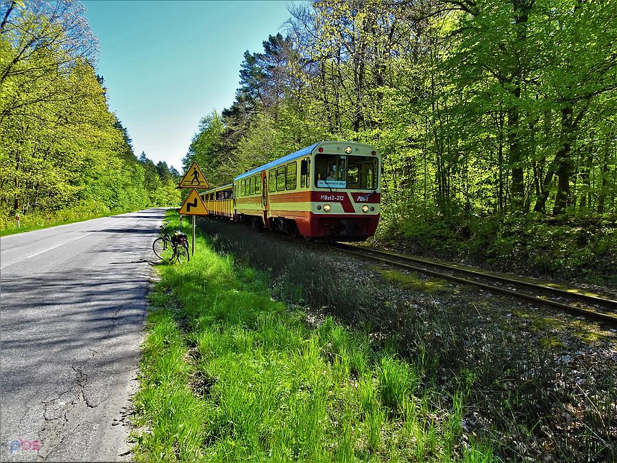 Wąskotorówka już jeździ.Okolice Mikoszewa.