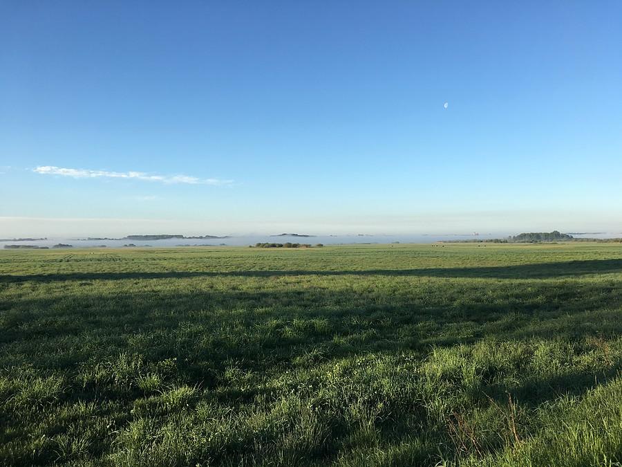 Widok na łąki w wkierunku Gulcza