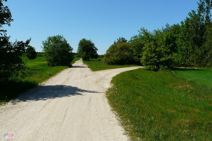 Skrót Wolbórz - Koło