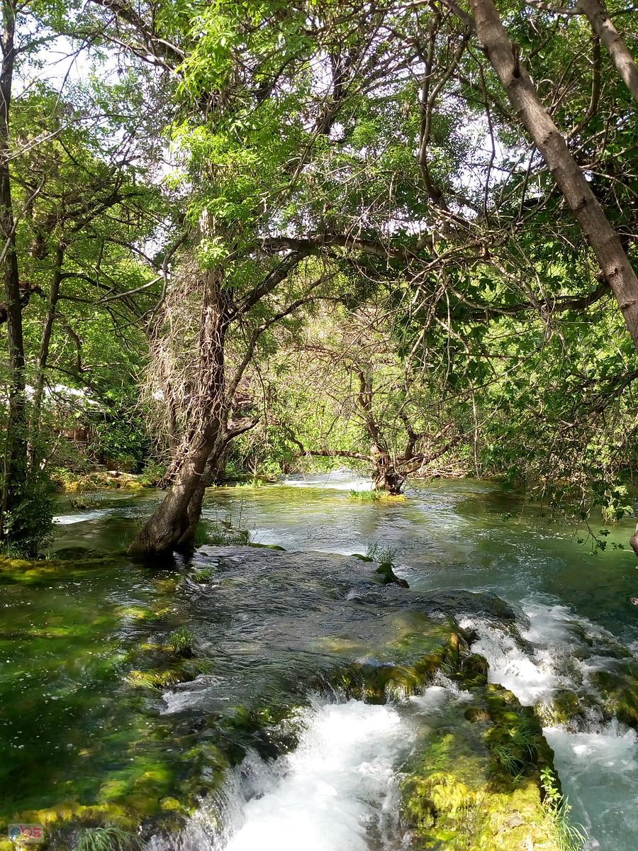 Nad rzeką Krka